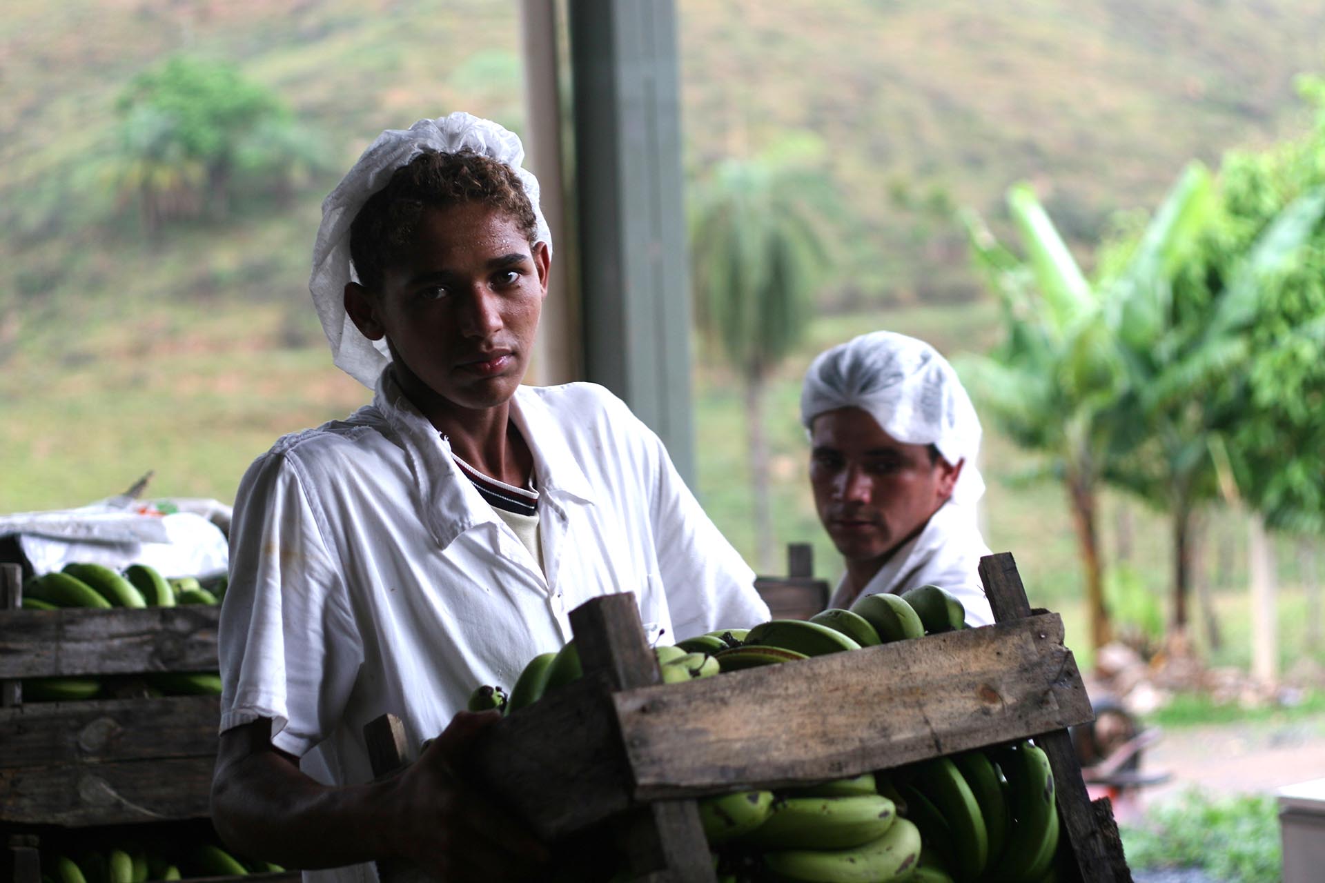 Arbeiter auf einer Bananenplantage in Brasilien